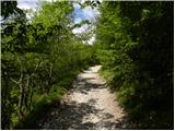 Planina (Dolnja Planina) - Hunting cottage on Planinska gora